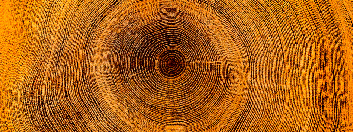 fossati-world-18-legno